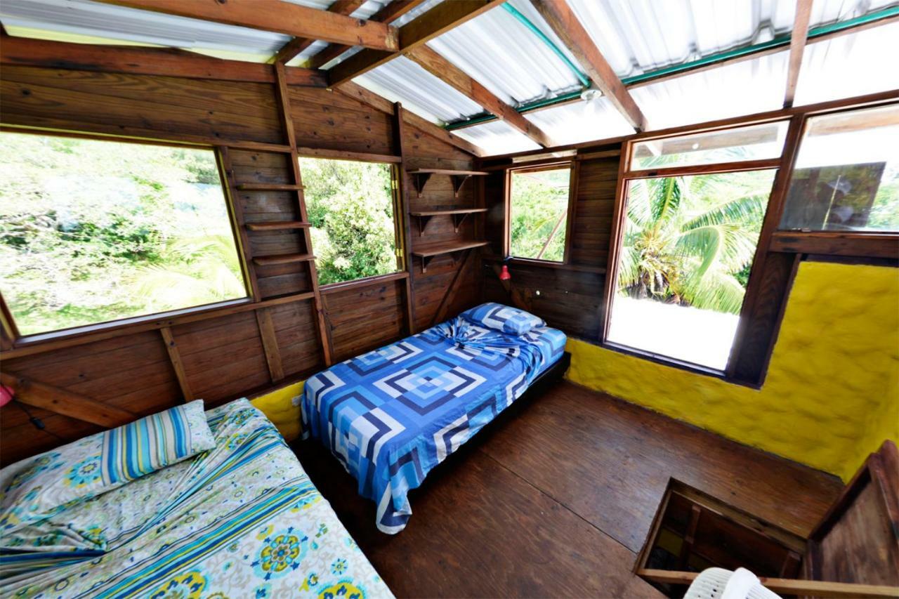 Windy View Guest House Archibolds Buitenkant foto